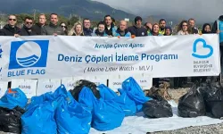 Deniz Çöpleri İzleme Programı'nda Balıkesir Altınkum'da temizlik