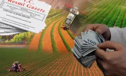 Hazine destekli kredilerde yeni dönem... Çiftçi ve esnafa kredi şartları yenilendi