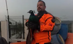 İzmir İtfaiyesi sessiz canlar için zamanla yarıştı