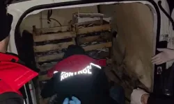 İzmir'de yasadışı avcılığa karşı sıkı önlem