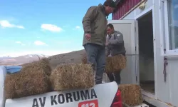 Niğde Demirkazık'ta yaban hayatına kış desteği