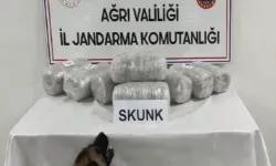 Ağrı'da 10 kilogram skunk ele geçirildi