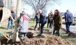 Kayseri Melikgazi'de bahar fidan dikimiyle geldi
