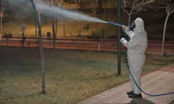 Keçiören'de sinekle mücadele ve bitki koruma çalışmaları sürüyor