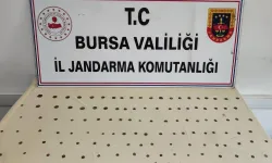 Mudanya Bademli'de tarihi eser operasyonu: 2 gözaltı