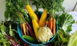 O enfeksiyon göz sağlığını tehdit ediyor