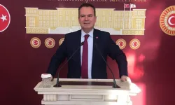 Şadan Şimşek: Artan tarım ithalatı yerli üretimi tehdit ediyor