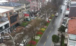 Sakarya bayram için Büyükşehirle çiçek açtı