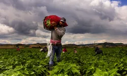 Bursa Yenişehir'de tarımı geliştiren, sanayi ve ticareti büyüten anlayış hakim