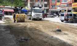 Giresun'da çevre ve yol seferberliği