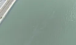 İzmir Körfezi'nde kirlilik endişelendiriyor! Aynı tehdit 11. kez görüldü