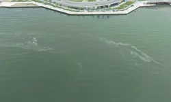 İzmir Körfezi'nde kirlilikte 10'uncu tespit