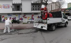 Kayseri Melikgazi'de haşeresiz yaz hazırlığı