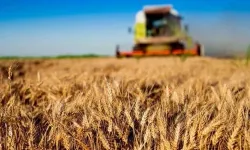 Kırsal kalkınmaya büyük destek... Tarım ve Orman'dan 30 milyon TL'ye kadar hibe!