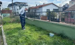 Kocaeli Çayırova'daki parkların duvarlarında bakım çalışması