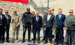 Mardin Yeşilli'de tarihi rekor! 102 bin meyveli fidan dağıtıldı