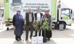 Mersin'de Anamurlu üreticilerin yüzü gülüyor