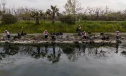 Temiz Körfez için Gediz vurgusu