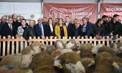 Trakya'nın ilk Küçükbaş Hayvancılık Festivali Malkara'da coşkuyla başladı