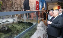 Ankara Keçiören'de yenilenen Deniz Dünyası açıldı