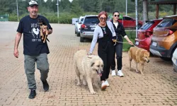 Antalya'da can dostlar sıcak yuvalarına kavuşuyor