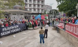 Bursa Gemlik'ten dünyaya Sumud çığlığı!