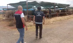 Çiğli'de kurban denetimleri aralıksız sürüyor