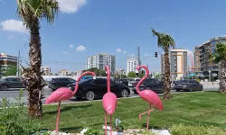 İzmir yaza çiçek açarak hazırlanıyor