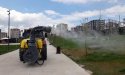 Kayseri Talas'ta haşeratla tam gaz mücadele