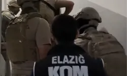 Elazığ merkezli 'Barbaroslar' operasyonu: 29 gözaltı!