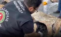 Ticaret Bakanlığı Açıkladı: 3 Yılda 108,7 Ton Uyuşturucu Ele Geçirildi