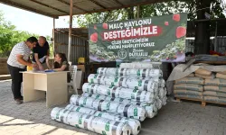 Manisa'da çilek üreticisine Büyükşehir'den destek