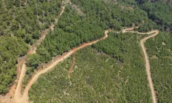 Muğla'da yeni kaynaklar Toparlar'a can oluyor