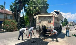 Antalya Finike'de yollar yenileniyor bordürler boyanıyor