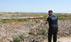 Balıkesir'de ilaçlama ekipleri 7/24 sahada