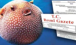 Balon Balığı Avcılığı Destekleri Artırıldı: 35 TL'ye Yükseltildi
