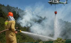 Bursa'da Orman Yangını Riski: Bursa Orman Bölge Müdürlüğü'nden Kritik Uyarı