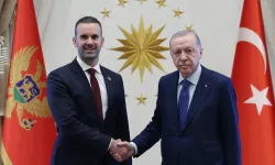 Erdoğan, Karadağ Başbakanı Spajiç'i Kabul Etti: İş Birliği Vurgusu