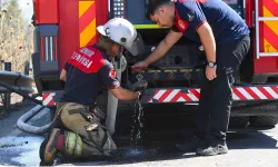 Bornova'da Orman Yangını: İtfaiye Ekipleri Bukalemunu Kurtardı