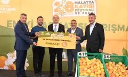 Malatya'da kayısılar yarıştı