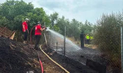 Mudanya Göynüklü'de Çıkan Yangın Kontrol Altına Alındı