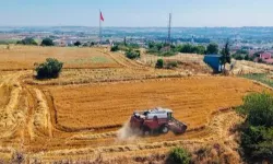 İklim Değişikliği ve Su Krizi: Tarımda Sürdürülebilir Üretim Zorunluluğu