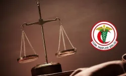 TTB ve TPD'den 21 Yaş Altı Hormon İlaçları Düzenlemesine Danıştay İtirazı