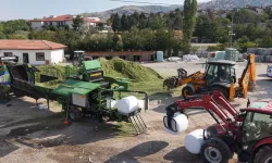 Ankara'da hayvan yetiştiricilerine silaj desteği