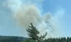 Balıkesir ve Bolu'da orman yangınları: Ekiplerin müdahalesi sürüyor