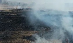Beypazarı'nda Anız Yangını