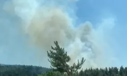 Çanakkale'de yangın ekiplerin müdahalesiyle kontrol altında