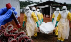 DSÖ'den Ebola uyarısı: KDC'de risk çok yüksek