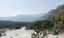 Eğitimci Hayat Aras: Altay'dan Anadolu'ya bitikler 4