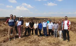 Hatay Büyükşehir Belediyesi enerji ihtiyacını GES'den karşılayacak